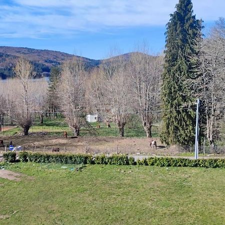 Loricalabria-Appartamento Lorica Le Macchie Kültér fotó