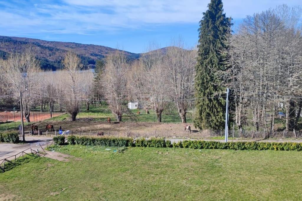 Loricalabria-Appartamento Lorica Le Macchie Kültér fotó